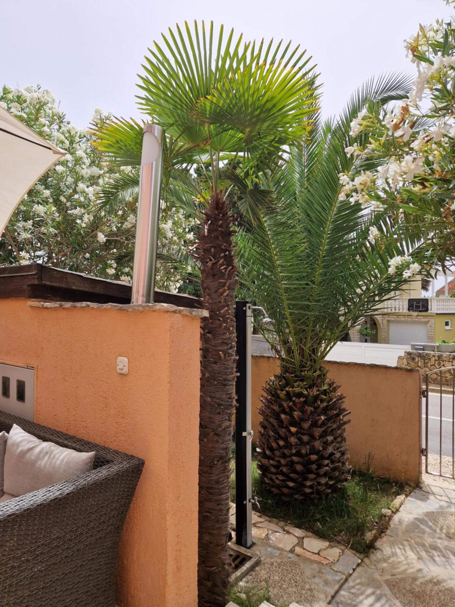 Aurelia Apartments, Vir Cameră foto